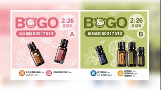 跟著BOGO 活動學精油! Day5 清爽柑橘複方精油 柑橘綻放複方精油 藍艾菊 甜桔精油 芹菜籽精油 豆蔻精油✨塗抹按摩薰香嗅吸!