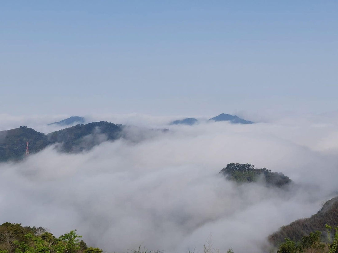 2025-03-11（養成365-70）