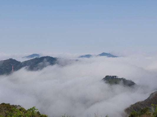 2025-03-11（養成365-70）