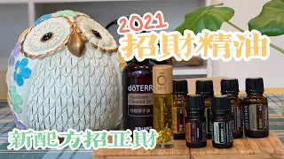 2022招財精油   招財貓金閃閃 招正財