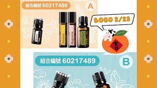 跟著BOGO 活動學精油！Day2 A組-香蜂草 印蒿 木蘭花 迷迭香 ｜B組- 舒緩複方 芳香調理複方 ｜精油生活好簡單！