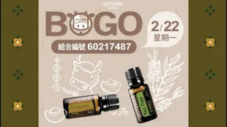 跟著BOGO 活動學精油！  Day1 防禦雙寶 牛至 茶樹︱