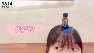 天竺葵：平民玫瑰